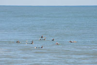 Surfing class